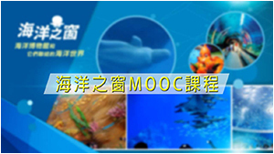 MOOC 海洋之窗